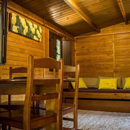 xisto camping Janeiro de Baixo Esterno foto