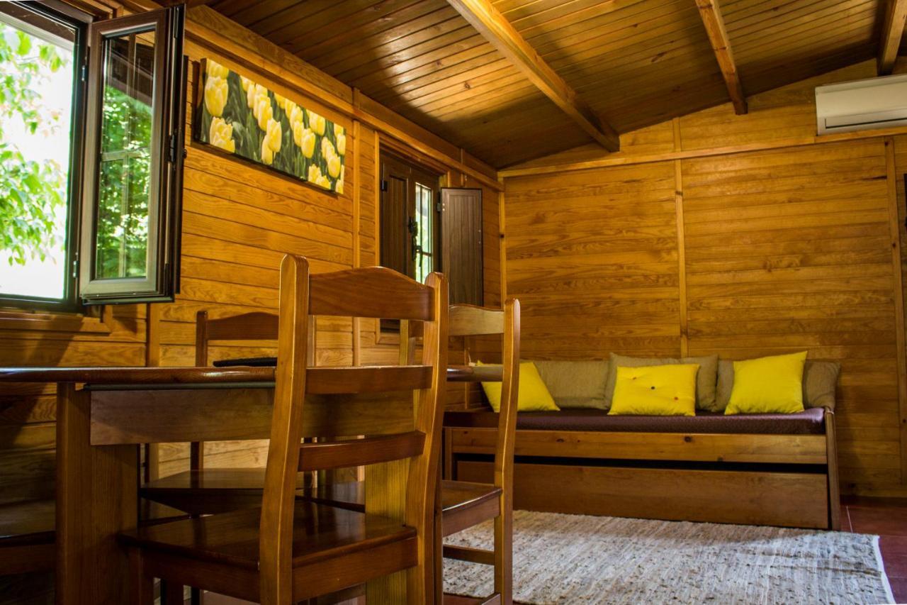 xisto camping Janeiro de Baixo Esterno foto