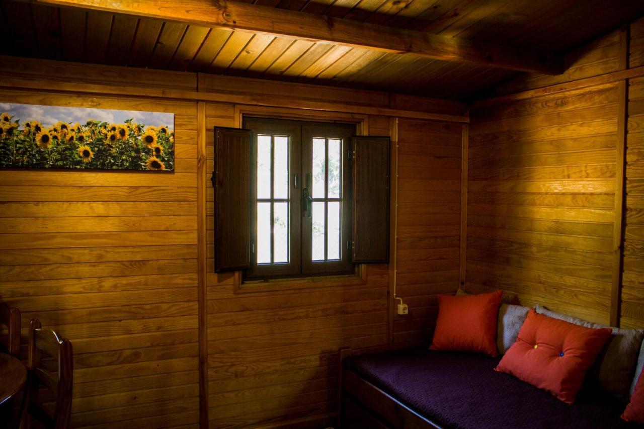 xisto camping Janeiro de Baixo Esterno foto