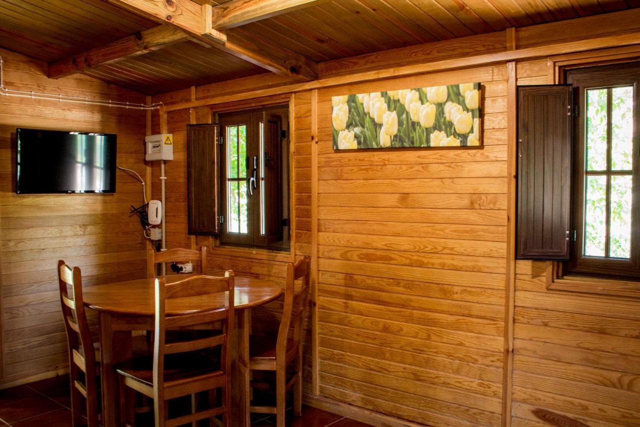 xisto camping Janeiro de Baixo Esterno foto