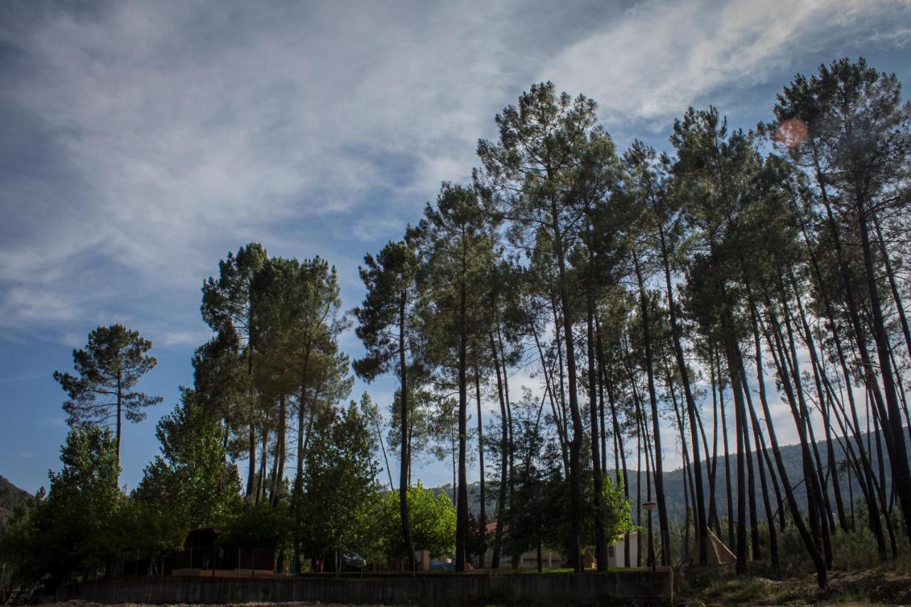 xisto camping Janeiro de Baixo Esterno foto